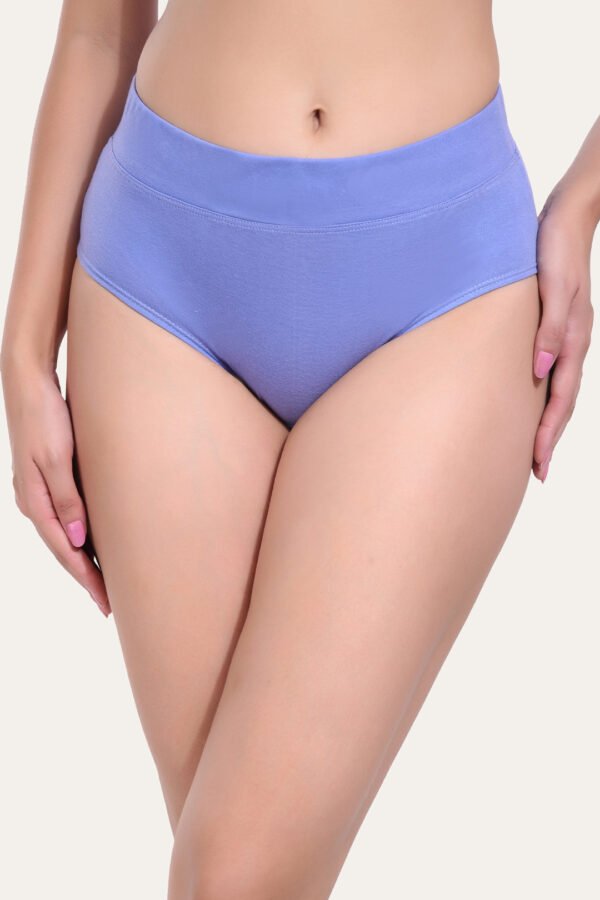 Solid Nude Sky Blue Cotton Hipster Panty for women - Image 2