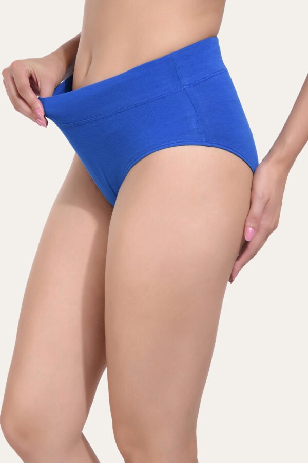 Solid Nude Blue Cotton Hipster Panty for women - Image 3