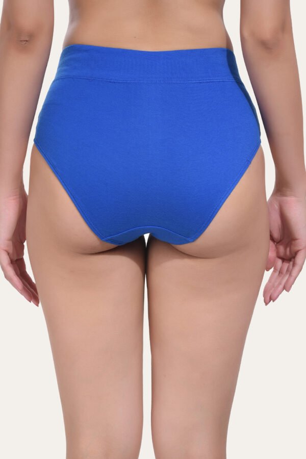 Solid Nude Blue Cotton Hipster Panty for women - Image 2